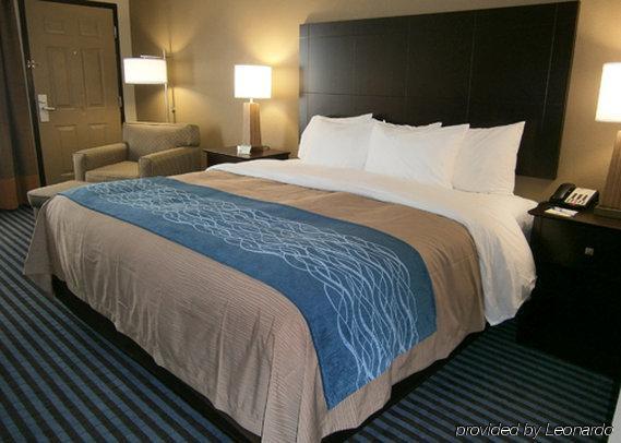 Comfort Inn & Suites Ballpark Area Smyrna Pokój zdjęcie